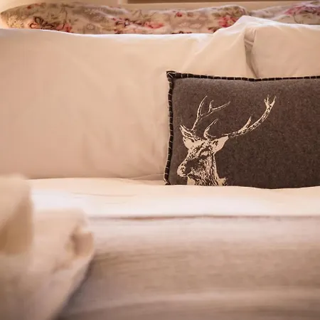 La Ruinette - Cosy 1 Bed, 300m From Cable Car Le Châble